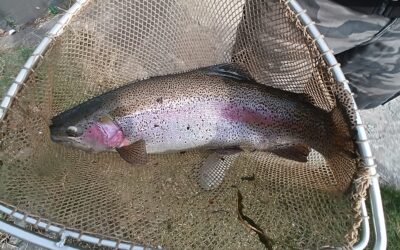 Členovia výboru konečne na rybách!