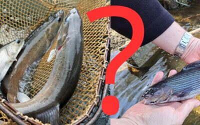 MÁME TO! NAŠE REVÍRY ČAKÁ NOVÁ ÉRA